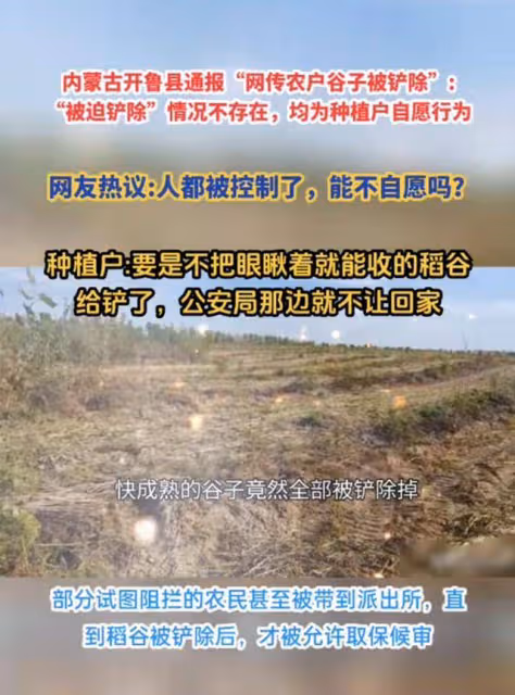 後續來了!官媒發聲闢謠:種植戶自願剷除稻穀!評論區卻淪陷了