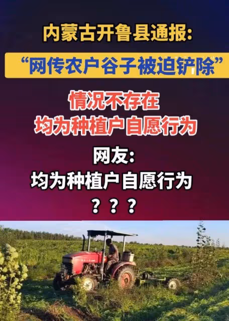 後續來了!官媒發聲闢謠:種植戶自願剷除稻穀!評論區卻淪陷了