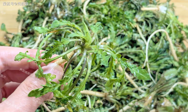 越吃眼睛越亮的一種菜,中老年常吃,養肝明目健脾胃,老少都精神