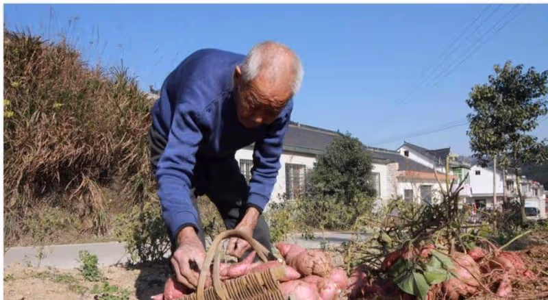 夫妻生活越少越長壽,還是越多越長壽?看完儘量別亂想了