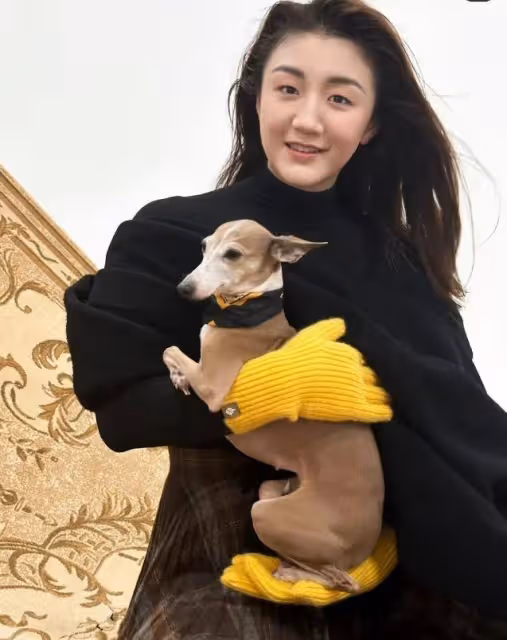 陳夢曬時尚封面大片,多風格展示30歲成熟美,一顰一笑超迷人