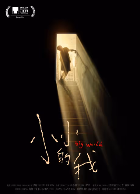 易烊千璽趙麗穎新片爭東京櫻花大獎,史上關注度最高的一屆