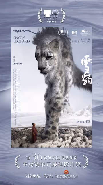 易烊千璽趙麗穎新片爭東京櫻花大獎,史上關注度最高的一屆