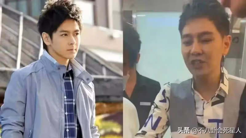 林志穎近照面部僵硬,金晨生圖鼻子歪,明星動臉後遺症都出來了