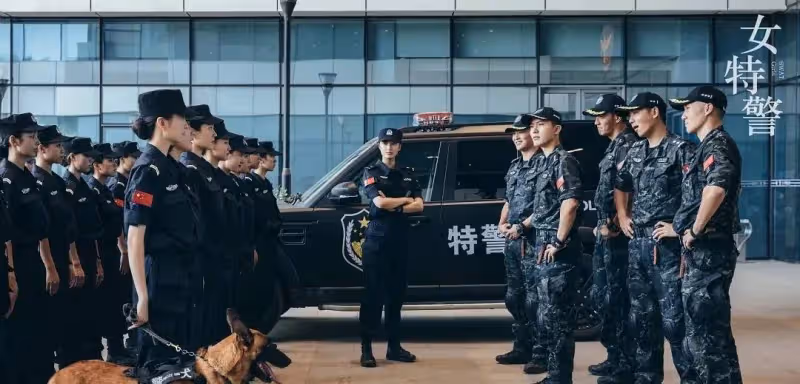 本以為是爛劇,沒想到出奇精彩,這部軍旅劇看上癮了