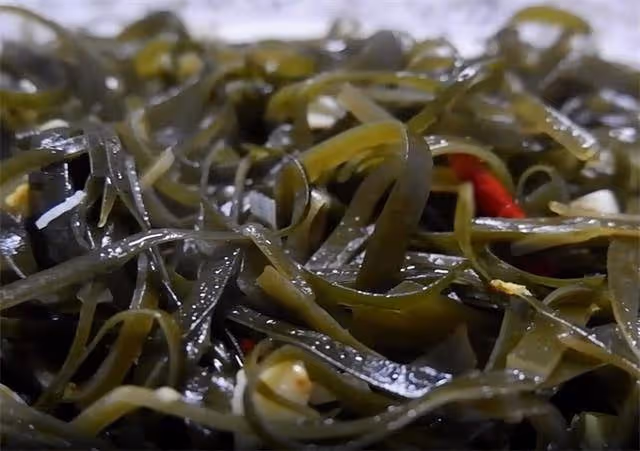 一道簡單的快手菜，醋溜海帶絲，營養健康又好吃，吃著還挺香的
