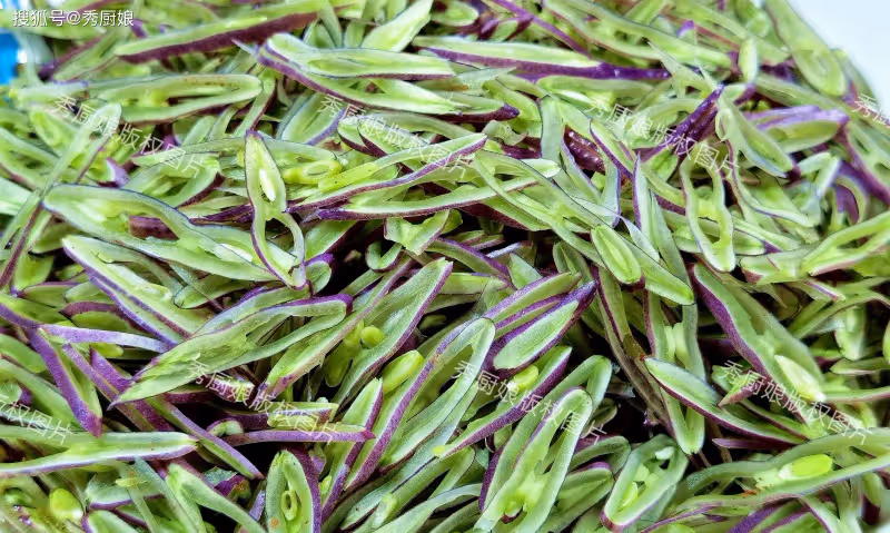 秋天,吃蘿蔔白菜不如吃它,全身是寶!多買些曬乾,冬天燉肉真香