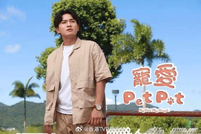 TVB掃10項冠軍!張振朗胡定欣分膺最佳男女主角