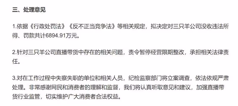 「三隻羊」的調查結果有了,未來的「大小楊哥」又該何去何從?