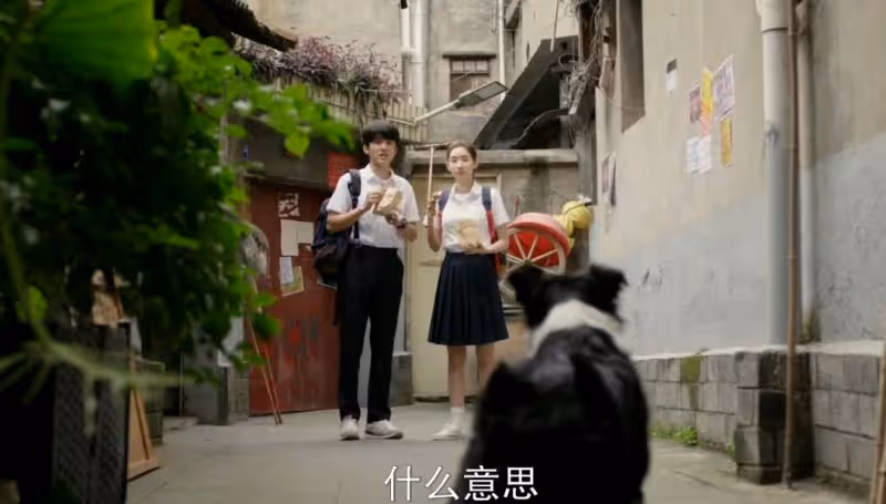 追到12集,甜度爆表,這部都市愛情劇真下飯