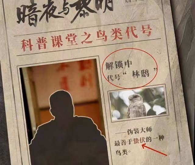 《暗夜與黎明》最意外的4個臥底,老陳是林鴟,林少白大媽媽藏最深