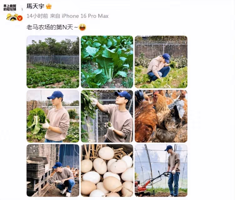 38歲馬天宇曬自己農場,養幾十隻雞自己犁地種菜,已做好退休準備