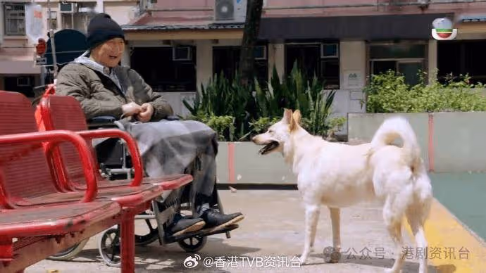 「申叔」李海生舉行喪禮!成龍、狄龍及《愛回家》劇組等致花牌悼念