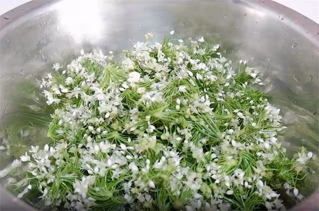 愛吃韭菜花醬的收藏了，在家自己製作，用料比例清晰，鮮香好吃