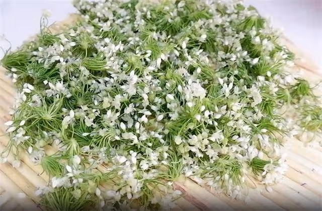 愛吃韭菜花醬的收藏了，在家自己製作，用料比例清晰，鮮香好吃