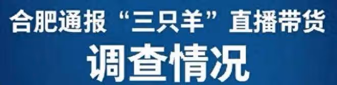合肥通報三隻羊處理結果,大小楊哥逃過一劫,盧總和沫沫相安無事