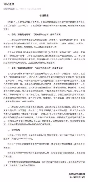 合肥通報三隻羊處理結果,大小楊哥逃過一劫,盧總和沫沫相安無事