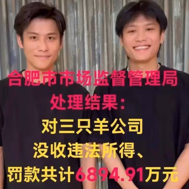 合肥通報三隻羊處理結果,大小楊哥逃過一劫,盧總和沫沫相安無事