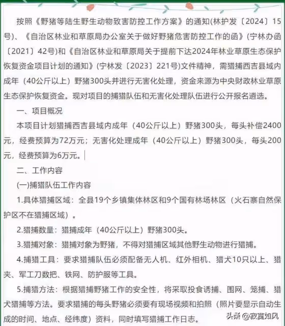 300頭野豬懸賞72萬,平民老百姓卻參與不了!更多細節公布……