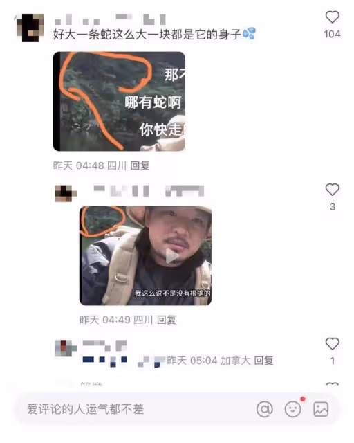 博主獨闖哀牢山「被大量凶獸盯上」？當事人回應：是樹根