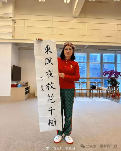 汪明荃被陳志雲質疑阻後生上位!愕然半秒霸氣反駁