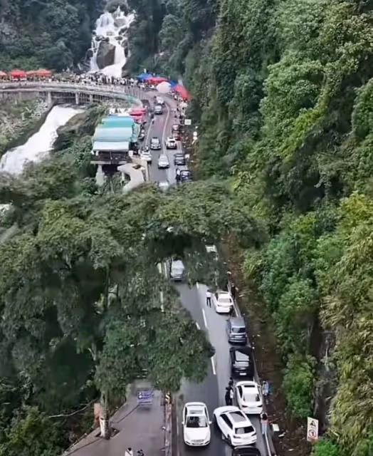 爆火的哀牢山到底有多兇險?曾發生多起人員失聯遇難