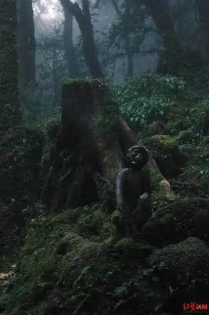 爆火的哀牢山到底有多兇險？曾發生多起人員失聯遇難