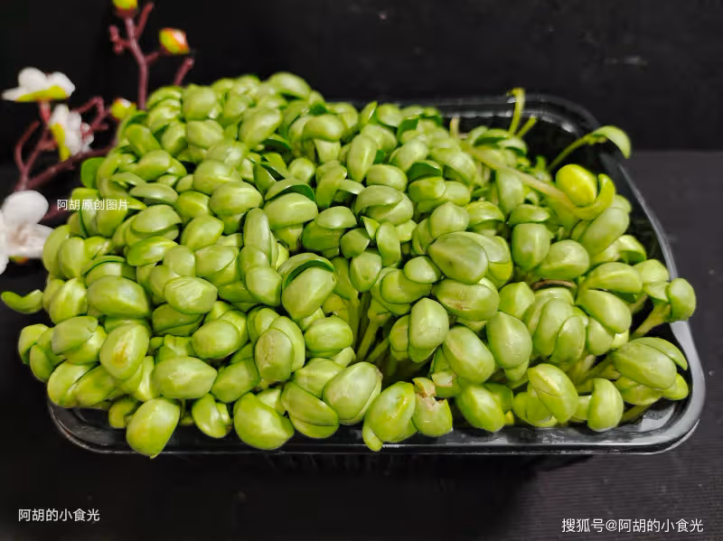 蘿蔔、白菜靠邊站!秋天遇到此菜敞開吃,葷素搭配炒一盤,菜香肉嫩、超解饞