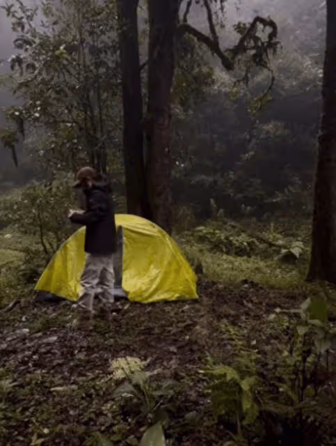 女博主露營哀牢山2天1夜，當事人道歉：沒有破壞任何自然環境
