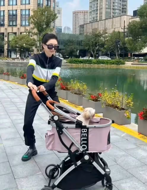 江疏影解鎖遛狗新方式,長腿女神也有溫馨一幕,狗狗是她的快樂源泉