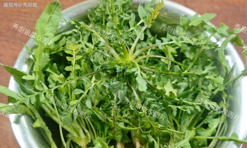 越吃眼睛越亮的3種菜,中老年常吃,養肝明目健脾胃,全家都精神