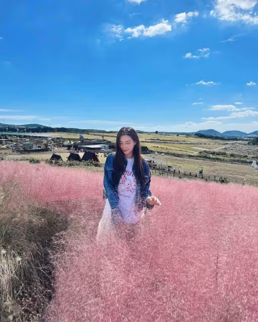 50歲TVB視帝陪岳母一家韓國旅行!37歲老婆狂曬花海靚照!妹妹露小蠻腰同樣高質