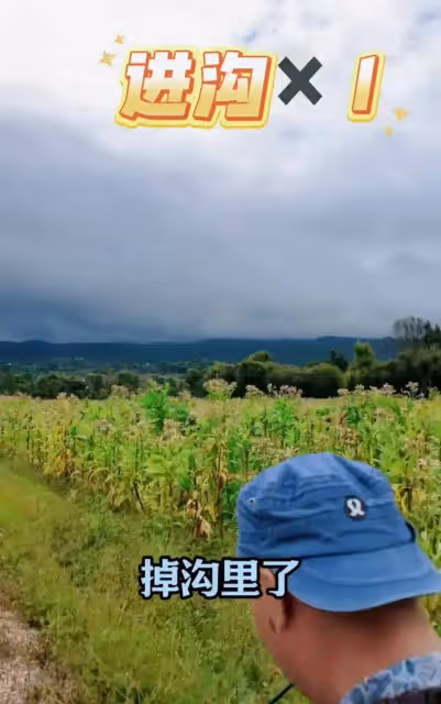 70歲陳佩斯拄拐杖現身,蒼老許多,開電動三輪車,兩次翻進水溝!