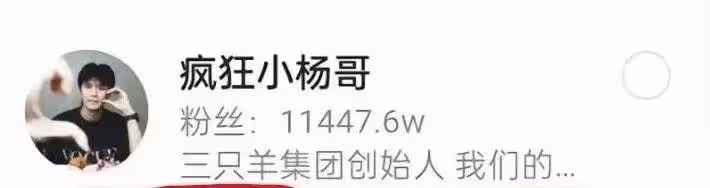 小楊哥掉粉超850萬,億萬網紅翻身無望,桃色事件只是冰山一角