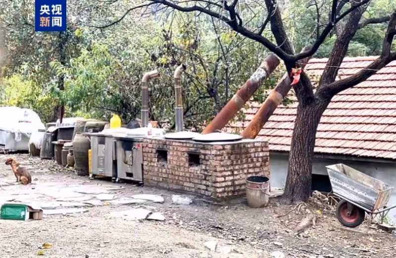 東北雨姐被央視點名,虛假宣傳,僅罰金165萬,網友稱罰得太少