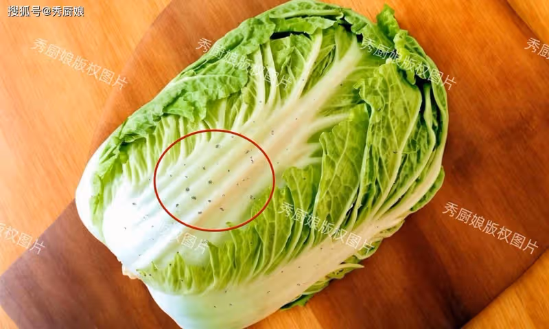 白菜葉上的小黑點是什麼?洗不掉還能吃嗎?快來了解下~