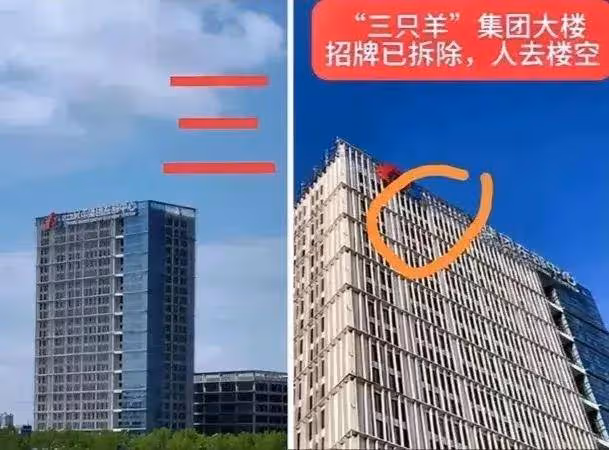 三隻羊主播復出嘴哥開播，直言孰能無過，曾豪言有問題告倒三隻羊