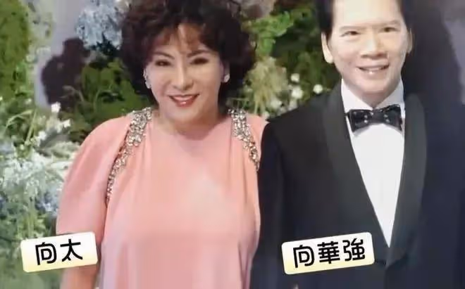 蕭敬騰林有慧大婚!賈靜雯陳喬恩向華強等前來賓客團超強