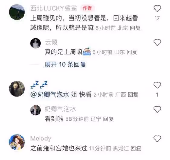 50歲董卿攜10歲兒子遊玩,手臂骨瘦如柴,曬得黝黑好接地氣