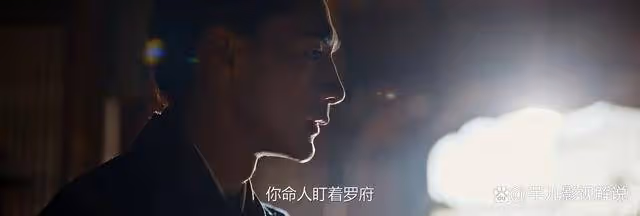 《錦繡安寧》原著:是誰想害羅宜寧?陸嘉學真是無辜