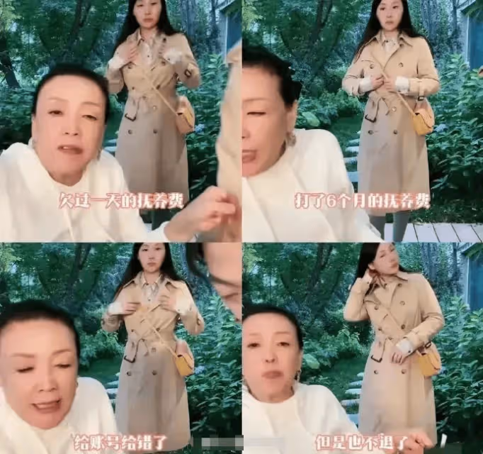 頻繁告汪小菲,只為撫養費的大S,再也維持不住她的「體面」了