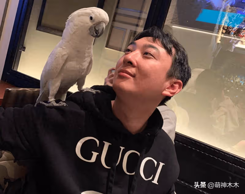 王思聰不受親舅影響,倫敦游結束又回日本瀟灑,真不打算回國了?