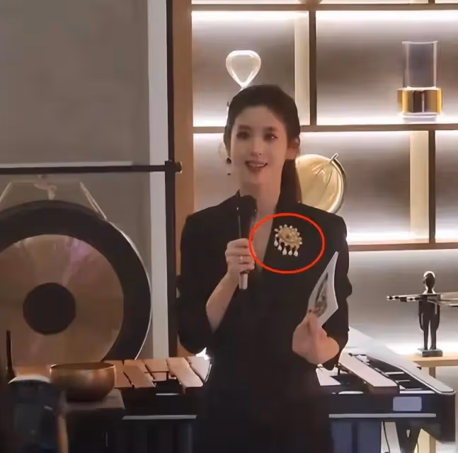 章澤天主持倫敦校友會,戴萬元胸針被吐槽,全英文蹩腳發言引熱議