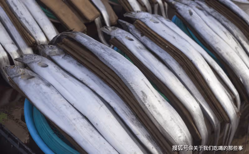 買帶魚,切記區分「黑眼睛」和「黃眼睛」,區別不小,搞懂再花錢