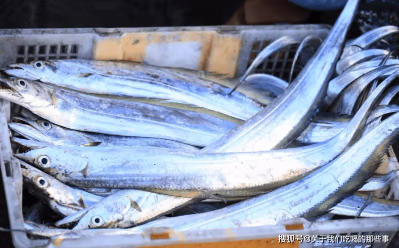 買帶魚,切記區分「黑眼睛」和「黃眼睛」,區別不小,搞懂再花錢
