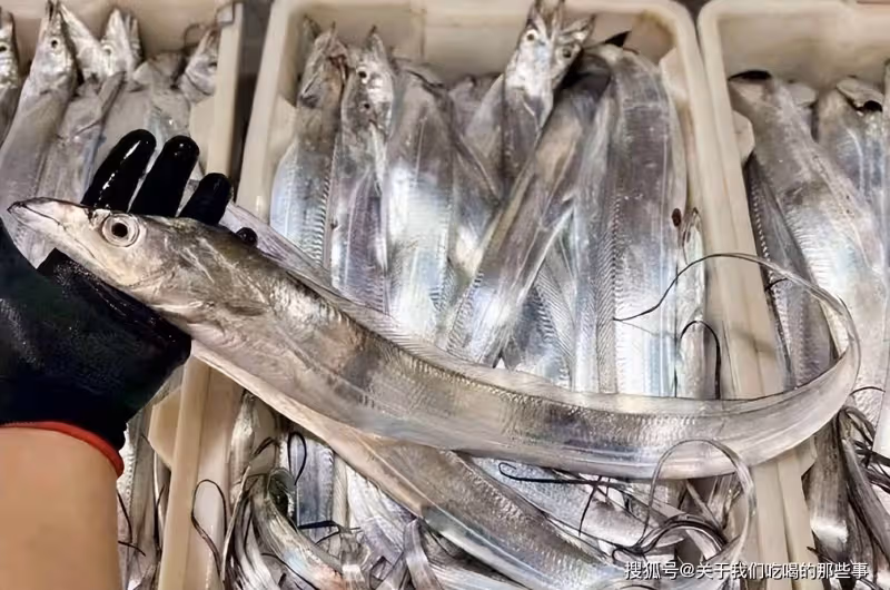 買帶魚,切記區分「黑眼睛」和「黃眼睛」,區別不小,搞懂再花錢