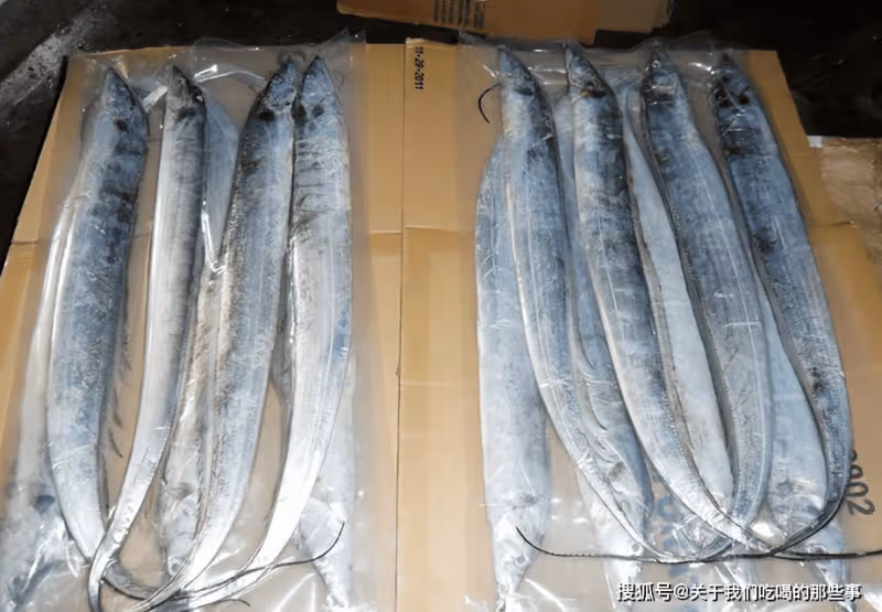 買帶魚,切記區分「黑眼睛」和「黃眼睛」,區別不小,搞懂再花錢