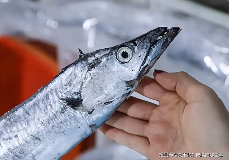 買帶魚,切記區分「黑眼睛」和「黃眼睛」,區別不小,搞懂再花錢