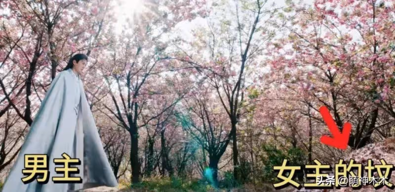 吳謹言《春花焰》播出效果不佳,結婚懷孕影響入戲,還被吐槽演技