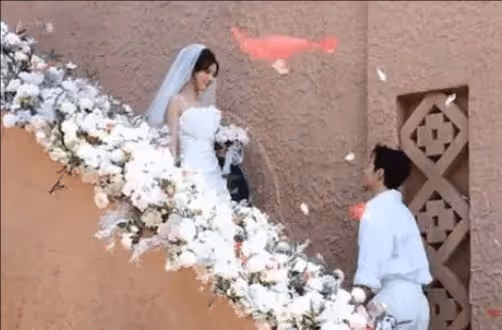 《你的謊言也動聽》男女主結婚了嗎?秦翡行止知結局如何?